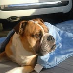 Jacques-Albert - @lefortj081 - Instagram