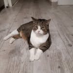 Jacques Albert - @jacques.albert.146612 - Instagram