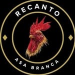 Jacques Andrade - @recanto_asabranca1 - Instagram