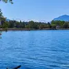 Jacques Antoine - @jacques.antoine3 - TikTok