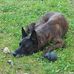 Arnoult Jacques - Facebook