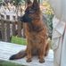 Jacques Bailly - Facebook