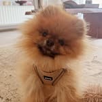 Jacques  Baron - @baron_jacques - Instagram
