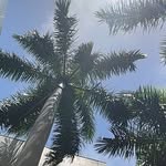 Jacques Bastien - @jacquesbastien9 - Instagram