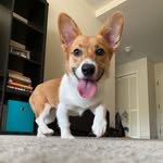 Jacques O Bean - @jacques_o_bean - Instagram