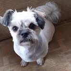 Jacques Beard - Facebook