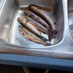 Jacques Beaudoin - @jacques.beaudoin1 - Instagram
