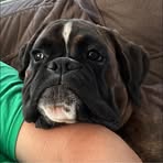 Jacques Beaudoin - Facebook