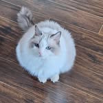Jacques Bergeron - @jackberge - Instagram