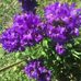 Jacques Bergeron - Facebook