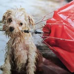Jacques Bergeron - @jacquesbergeron2015 - Instagram
