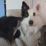 Jacques Bertrand - @jacques_bertrand51 - Instagram