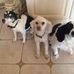 Jean Jacques Bertrand - Facebook