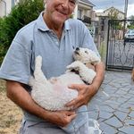 jacques bessieres - @jacques.bessieres - Instagram