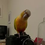 @jacques.bondu - Instagram