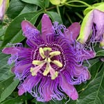 Jacques Boyer - @jacquesboyer64 - Instagram