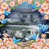 Jacques Branchut - @jacques.branchut - TikTok