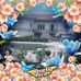 Jacques Branchut - Facebook