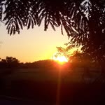 Jacques Brassard - @jacques_brassard - Instagram