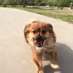 Jacques Brewer - @jacquesbrewer105 - Instagram