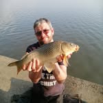 Jacques Bronkhorst - @bronkhorst_jacques - Instagram