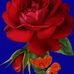 Jacques Cadet - Facebook