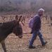 Sur Mon chemin et vers Saint Jacques, avec Rasta et Cadet - Facebook