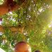 YA Jacques Cadét Katombe - Facebook
