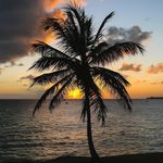 Jacques Casanova Financial - @the_best_financial_investments - Instagram
