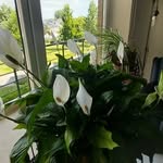 Jacky Chantal - @jacques.chantal.9 - Instagram