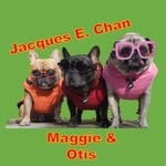 Maggie(Pug) & Otis(Frenchie) & Jacques E. Chan (Frenchie) - @maggieandotis - Instagram