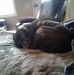 Jacques Chevalier - Facebook