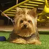Jacqueline Contreras - @jacque.contreras - TikTok