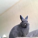 @jacquescooker - Instagram