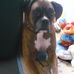 Jacques Corneau - Facebook