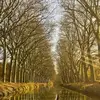 Jacques Cornuault - @jacques.cornuault - TikTok