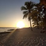 Didier JACQUES - @jacques.didier.37201 - Instagram
