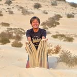 Jacques Didier - @jacques.didier - Instagram