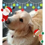 Jacques Dupuis - @jacques.dupuis.7545 - Instagram