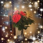 Jacques Dupuis - @dupuis9973 - Instagram