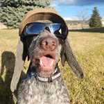 Jacques Hansen - @pho_actual - Instagram