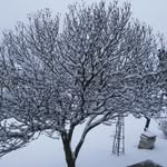 Jacques Hurst - @jacques.hurst - Instagram