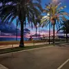 Jacques Lopez3521 - @jacqueslopez8562 - TikTok