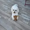 Jacques Lopez - @jacques.lopez4 - TikTok