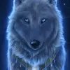 jacqueslord842 - @jacqueslord842 - TikTok