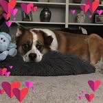 Robin Lowery StJacques - @robinstjacques - Instagram