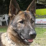 Jacques Martin - @jacquesmartin6322 - Instagram