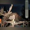 Jacques Mathieu - @jacquesmathieu21 - TikTok