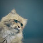 Jacques Mccarthy - @jacquesmccarthy3601 - Instagram