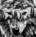 Jacques Mcclure - Facebook